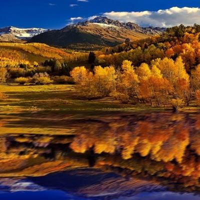 皇冠体育app正版下载