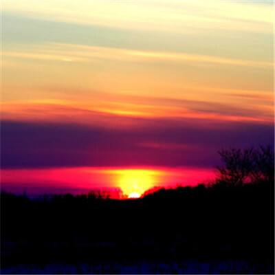 爱游戏APP·官方登录入口(ayx)app下载