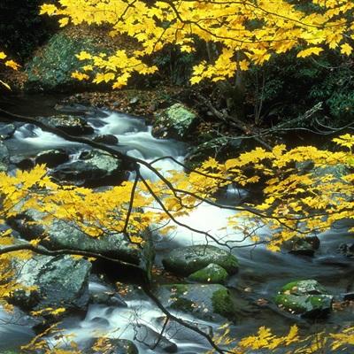 bob·体育综合app下载手机版截图